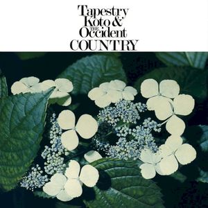 Tapestry Koto & the Occident Country