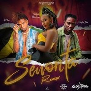 Senorita Remix (Single)