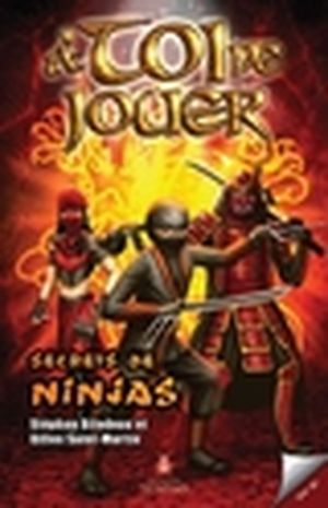 À toi de jouer. Vol. 3. Secrets de ninjas