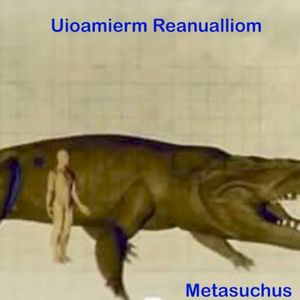 Metasuchus