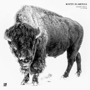 Winter in America (Single)
