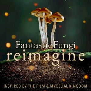 Fantastic Fungi: Reimagine Vol 1 & 2