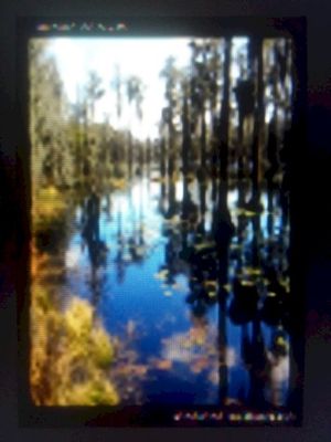 Sentient Wormholes (EP)