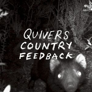 Country Feedback (Single)