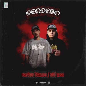 Pendejo (Single)