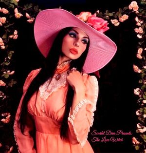 The Love Witch