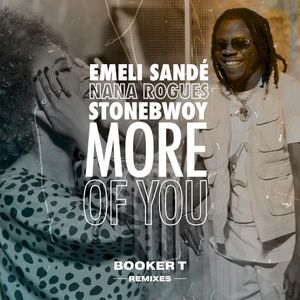 More of You (Booker T Remixes)