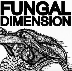 Fungal Dimension