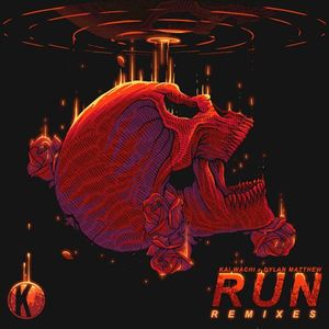 Run (UBUR remix)