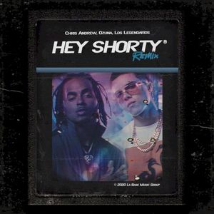 Hey Shorty (remix)