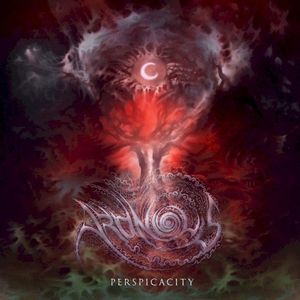 Delusions of Superiority (Single)