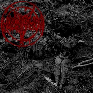Aokigahara II