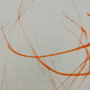 Soft Plastic (EP)