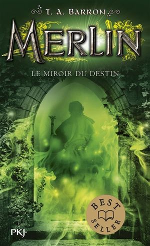 Merlin. Vol. 4. Le miroir du destin