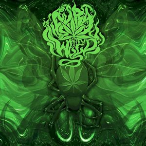 Boris the Spider (Single)