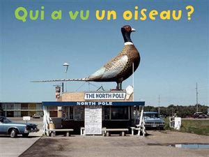 Qui a vu un oiseau ?