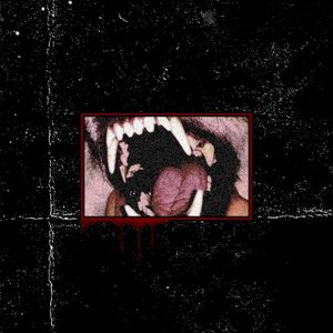 Teeth 1