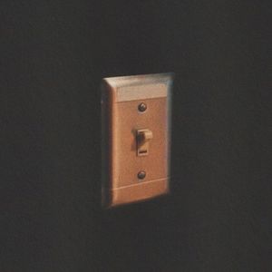 Light Switch (Single)