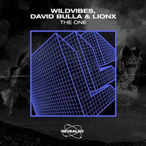 The One (extended mix)