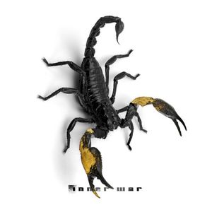 Inner War (Single)