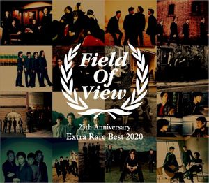 FIELD OF VIEW 25th Anniversary Extra Rare Best 2020