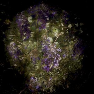 Flowers in the Dark (EP)