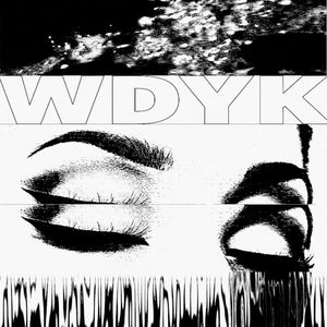 WDYK (Single)