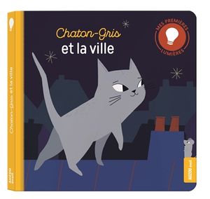 Chaton-Gris et la ville