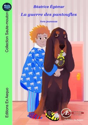 La guerre des pantoufles : roman jeunesse