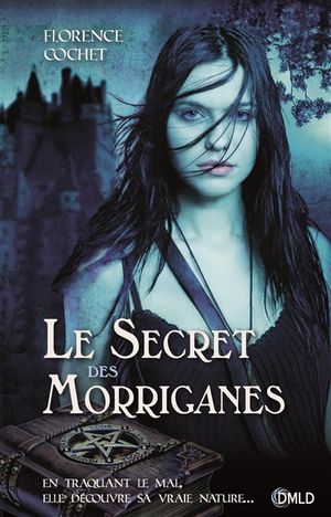 Le secret des Morriganes