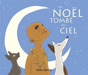 Un Noël tombé du ciel : un conte de Polynésie