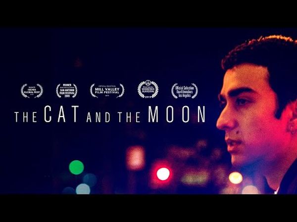 The Cat and the Moon