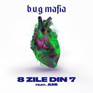 8 Zile Din 7 (Single)