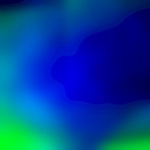 what the hell (Single)
