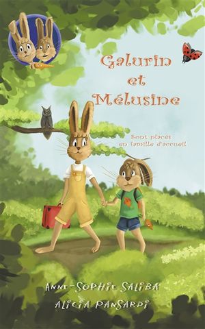Galurin et Mélusine. Vol. 1. Galurin et Mélusine sont placés en famille d'accueil