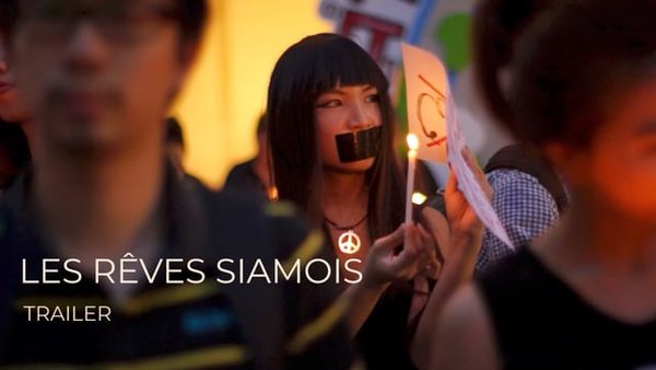 Les Rêves siamois