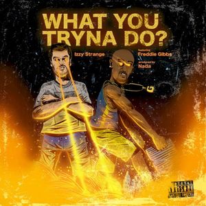 What You Tryna Do? (Single)
