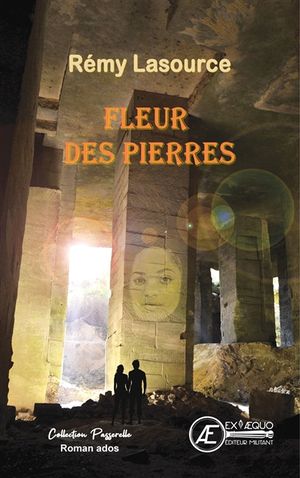 Fleur des pierres : roman jeunesse