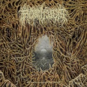 Funereal Hallucinations (Single)