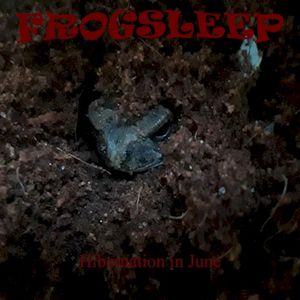 Let Sleeping Frogs Lie (Phyllomedusa cover)