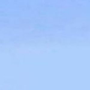 Detection / a5 (single) (Single)