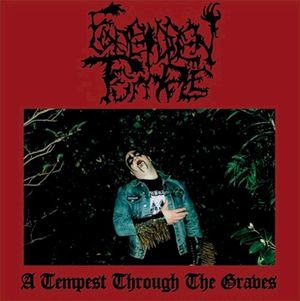 A Tempest Through the Graves (EP)