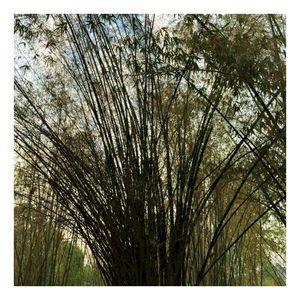 aerial (EP)