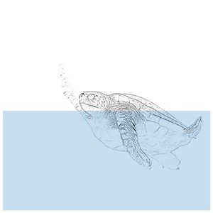 [untitled] (EP)