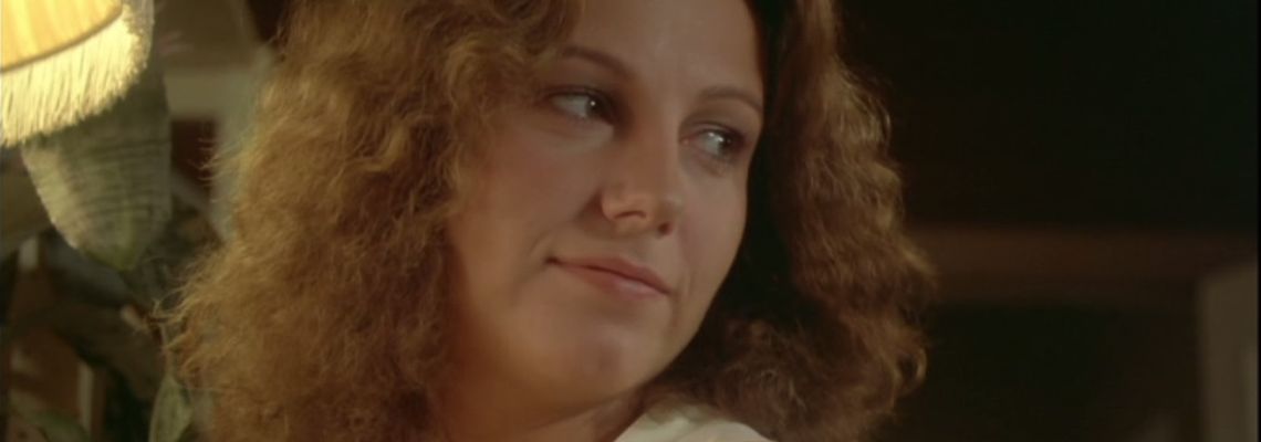 Cover Police Python 357