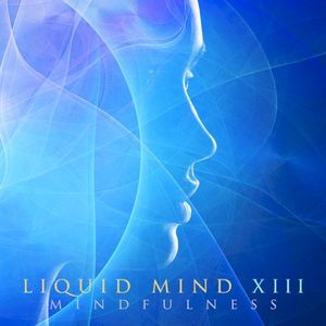 Liquid Mind XIII: Mindfulness