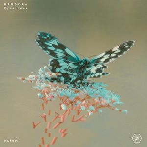 Pyralidae (EP)