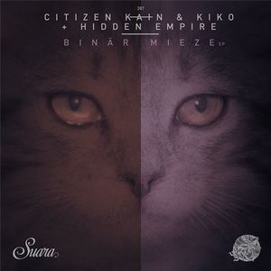 Binär Mieze EP (EP)