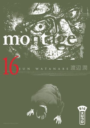 Montage, tome 16