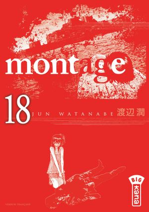 Montage, tome 18